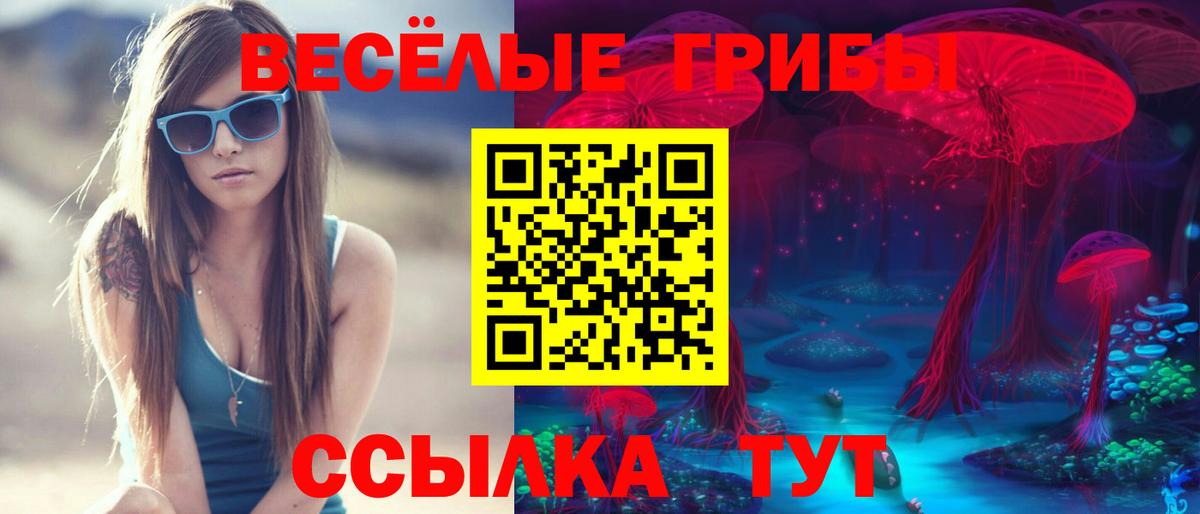 Галлюциногенные грибы прущие грибы Ногинск